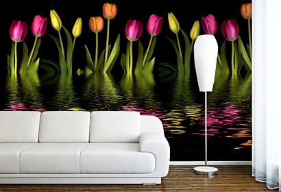 fototapety s farebnými tulipánmi