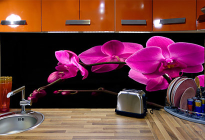 Fototapeta za kuchyňskou linku - Fialová orchidej 18499