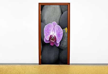 Fototapeta Orchidej na kameni 6856 