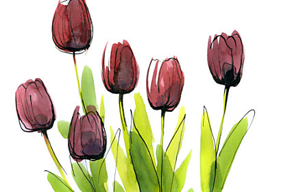 Fototapeta zástěna - Tulipány malované 28200