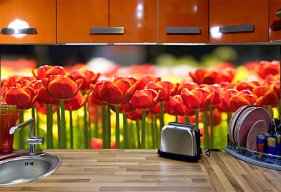 Fototapeta na zástěnu - Panoramatické červené tulipány 28207