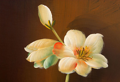 Fototapeta Art Flower 18524
