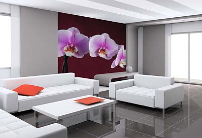 orchid - tapeta