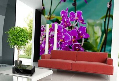 Fototapeta Purple orchid flowers 24286