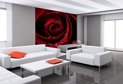 tapeta na stenu do obývačky - red rose
