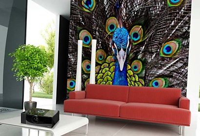 tapety do obývačky - peacock
