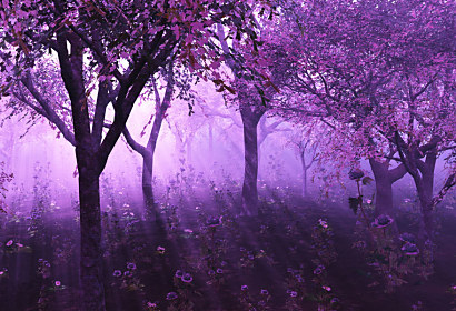 Fototapeta - Fialový les s Květinami 3263