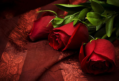 Fototapeta Zátiší s růžemi 92