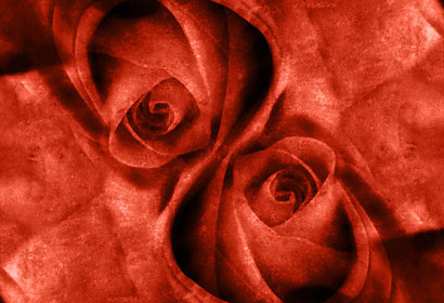 Fototapeta zástěna - Růže červené 4400