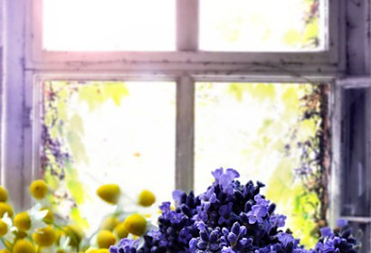 Fototapeta Vintage lavender window 33168336