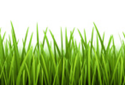 Panoramatická zástěna - Zelená tráva 28030