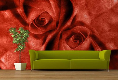 Fototapeta - Rozkvetlé růže 4400